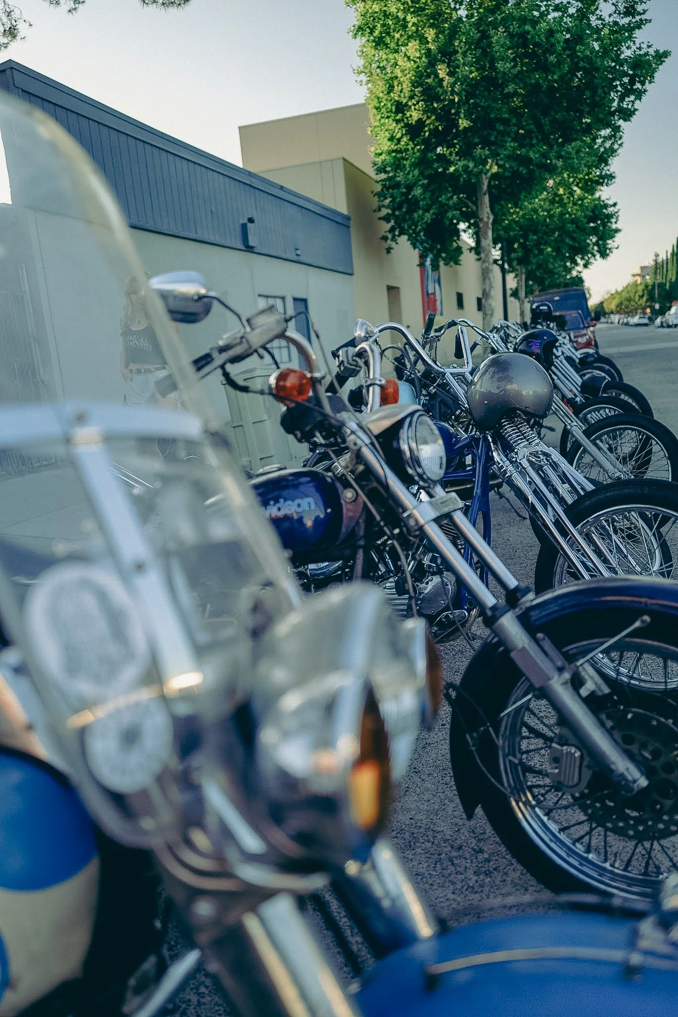born free choppers temple choppers harley davidson motocycles loo pimble 1980.edits loopimble skeleton goods skeletongoodscry now throw pillow traditional tattoo skeleton goods-31.jpg