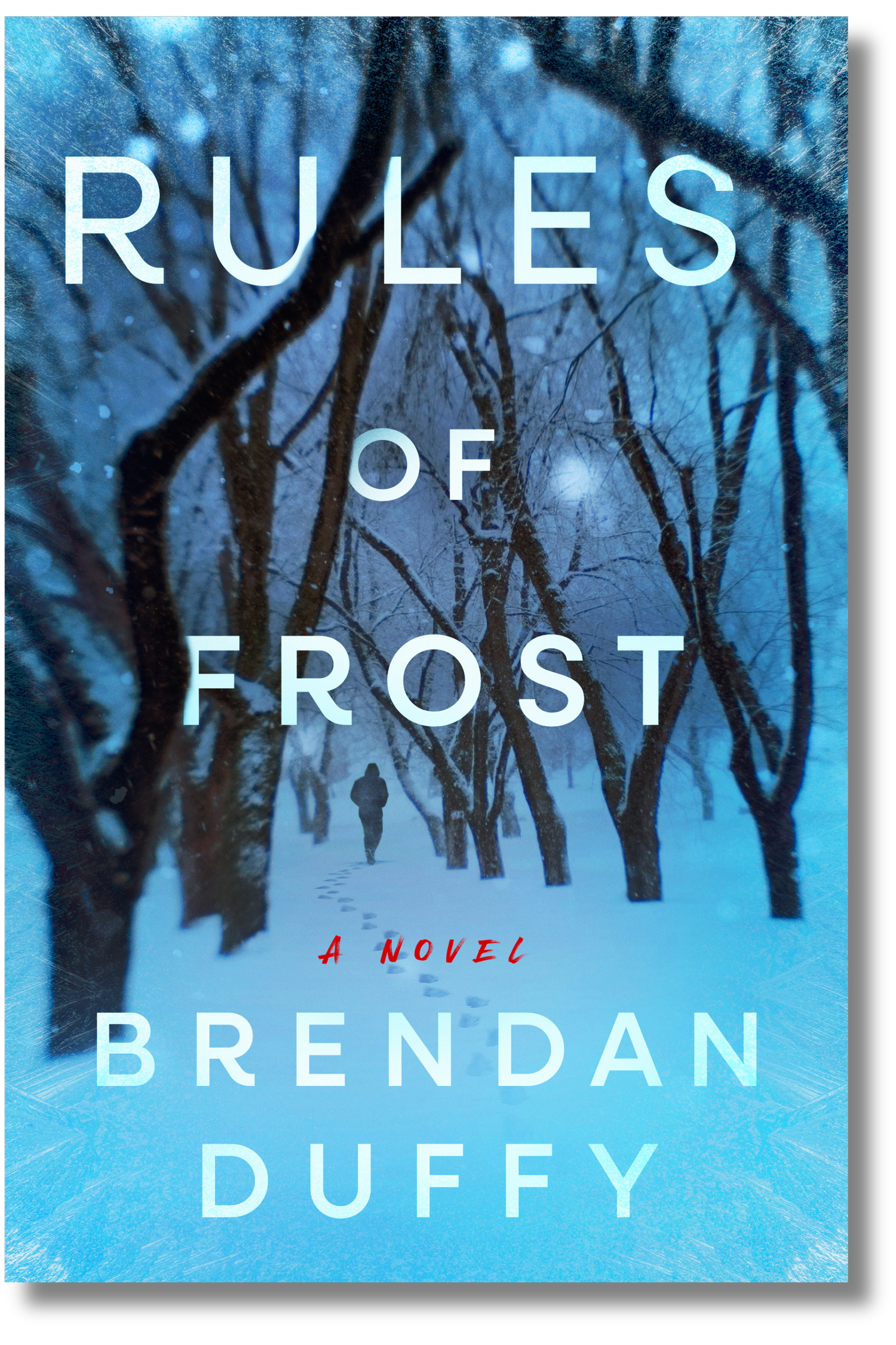 Brendan Duffy Books