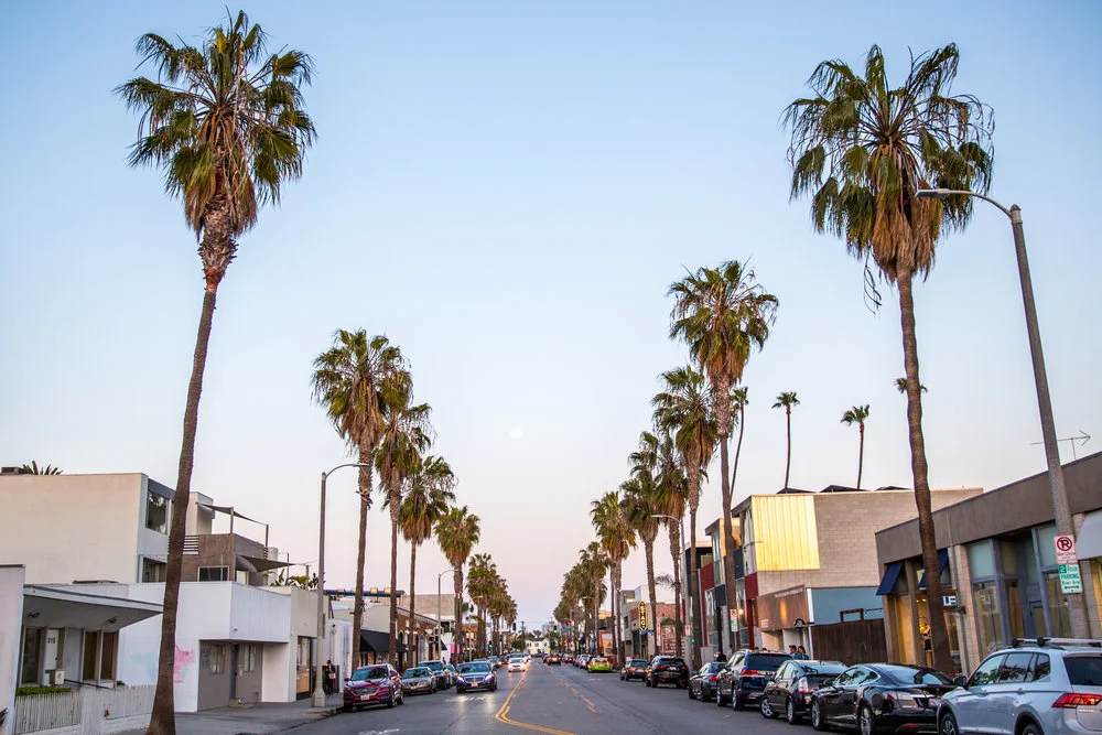 adidas originals 1349 abbot kinney boulevard los angeles
