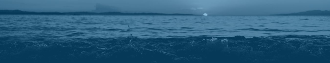 Ccerlii_Banner1.png
