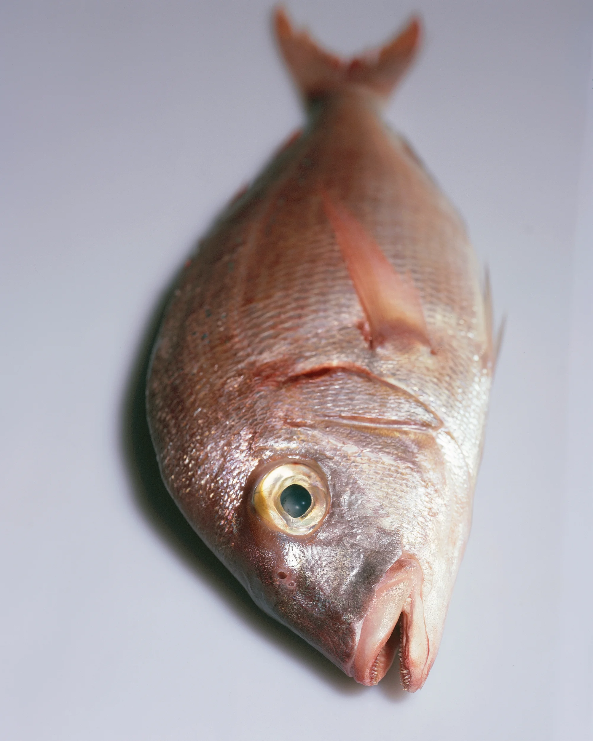 Frontier Towns_06.jpg