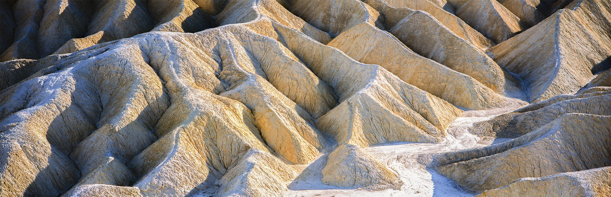 Panoramic_For_Web_04.jpg