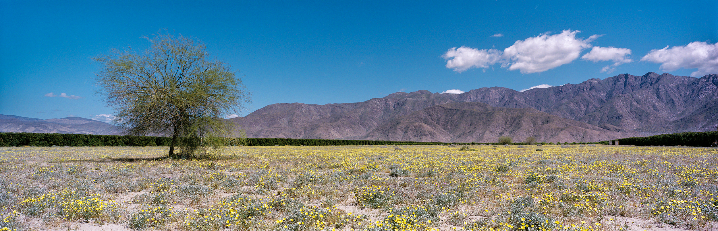Panoramic_For_Web_06.jpg