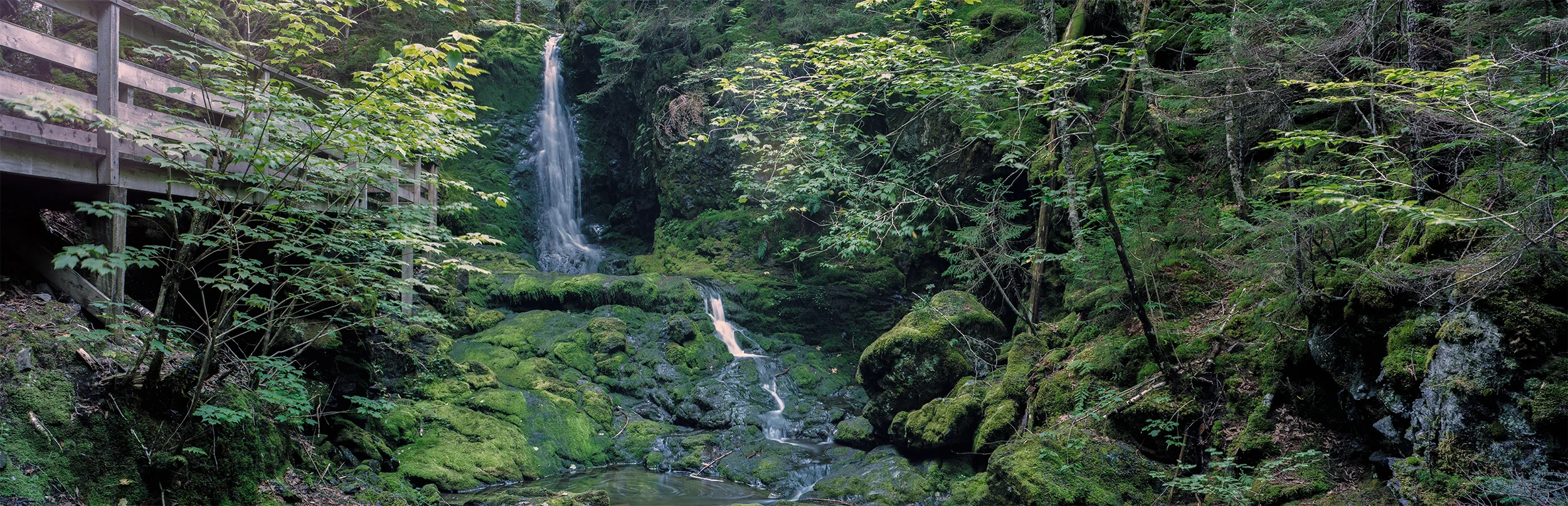 Panoramic_For_Web_10.jpg