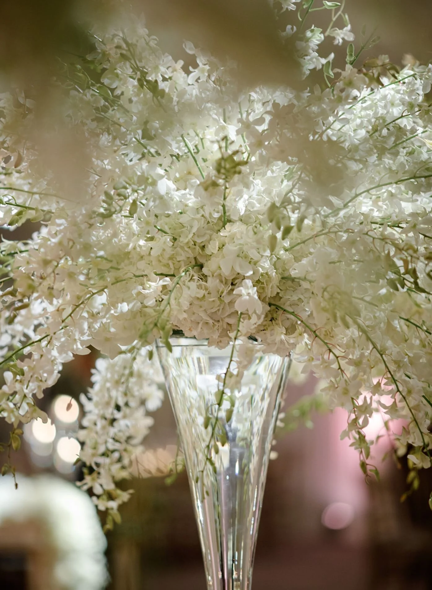 abello florals.JPG