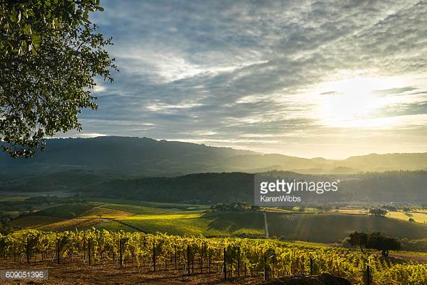 Photo by KarenWibbs/iStock / Getty Images