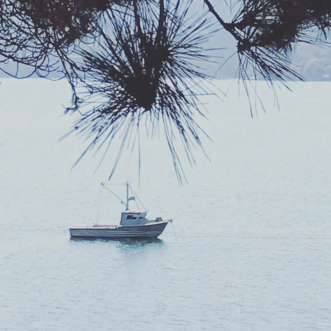 Dreaming of Summer .....