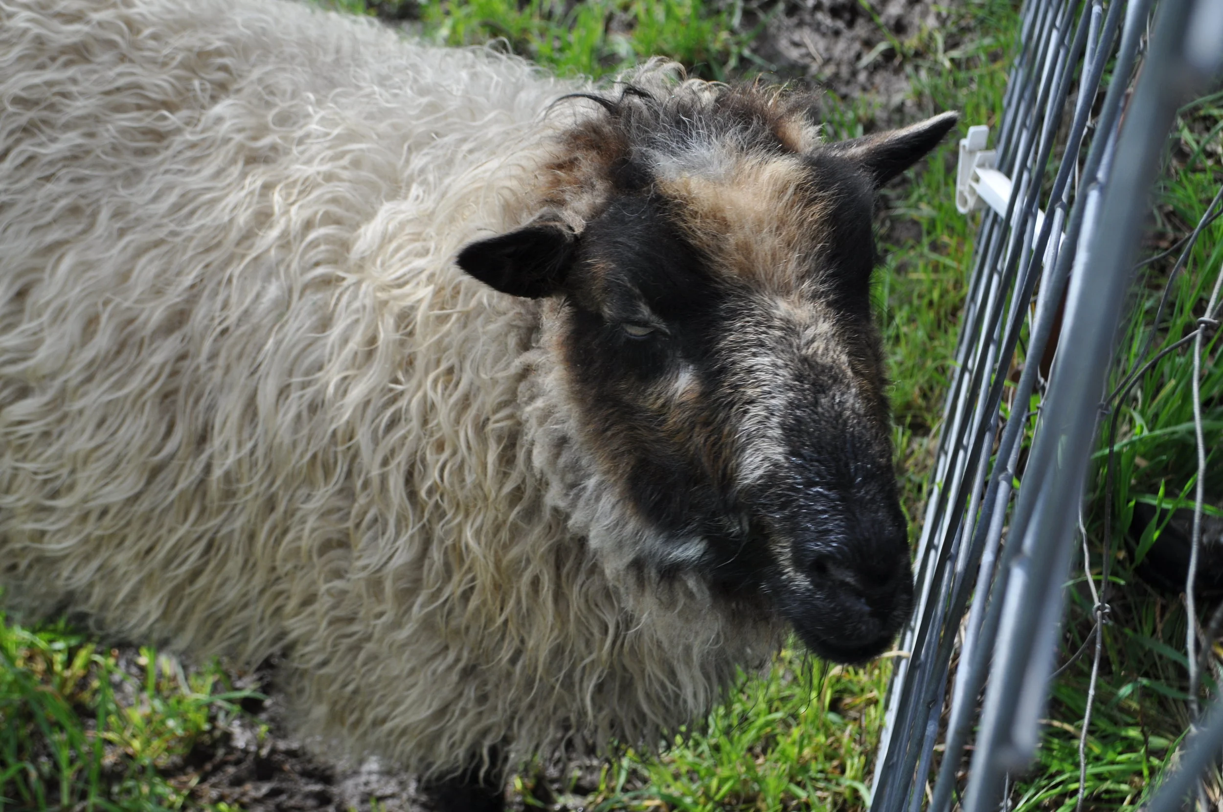 Fiber Farm Visits