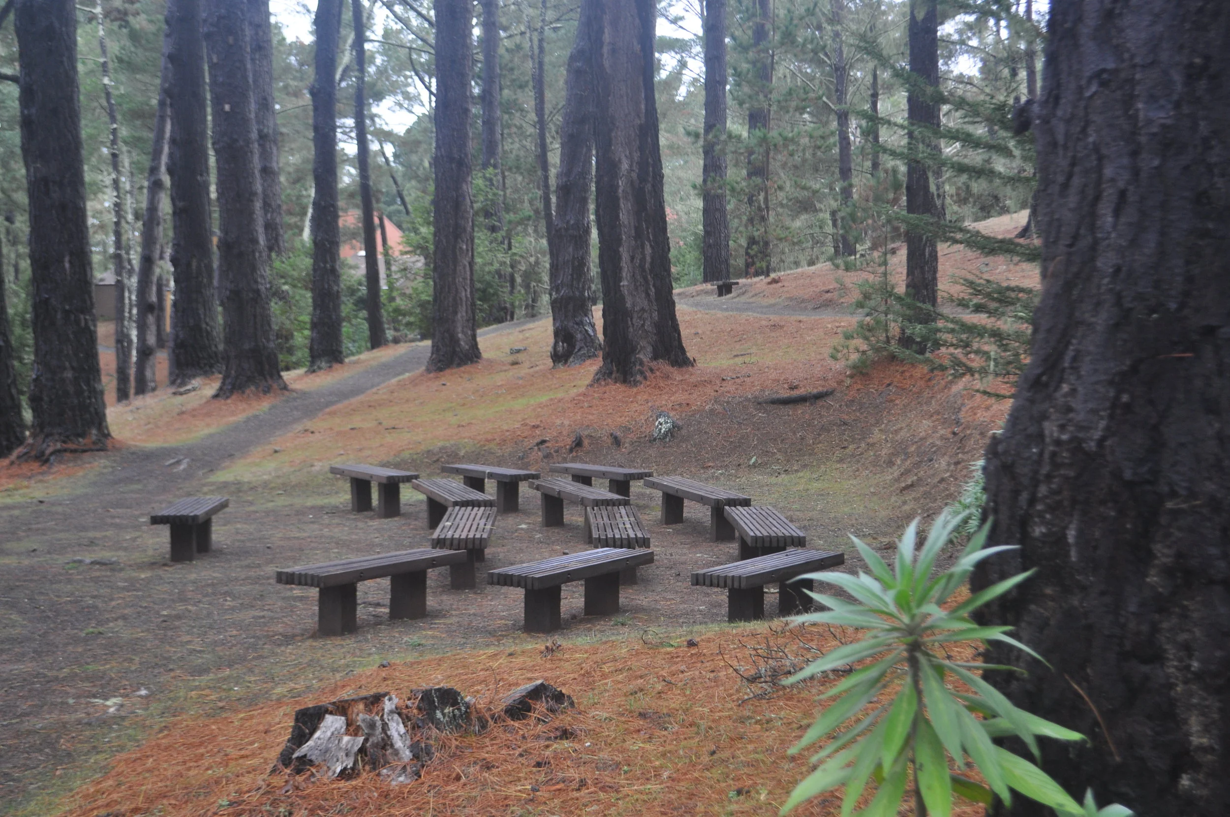 Nature’s classroom