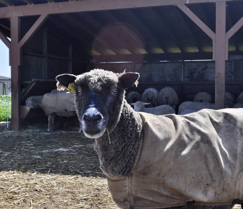 Let's get outside ....