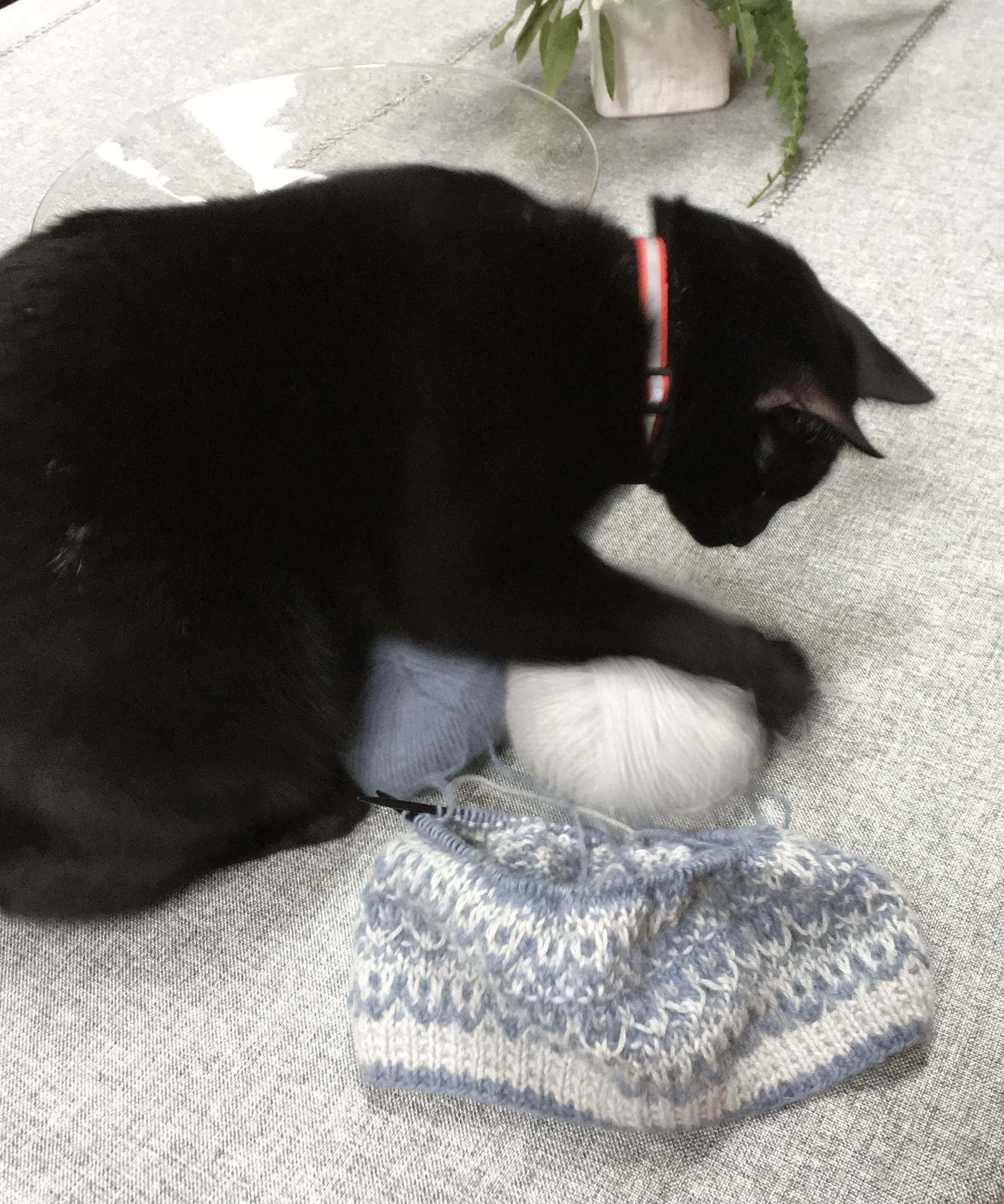 That's a Wrap 2025!  More knitting inspiration in 2026.