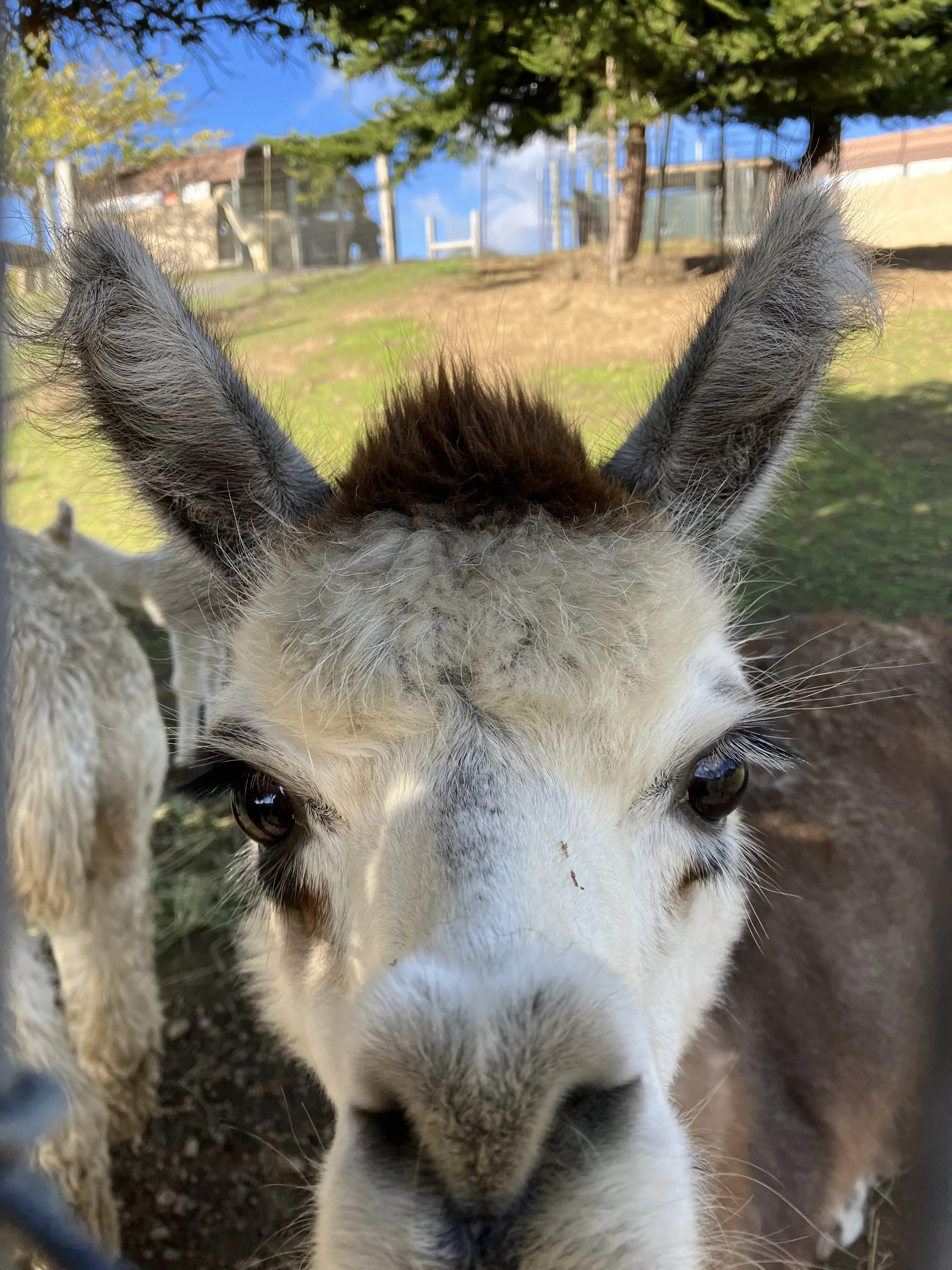 PACIFIC KNITTING RETREATS