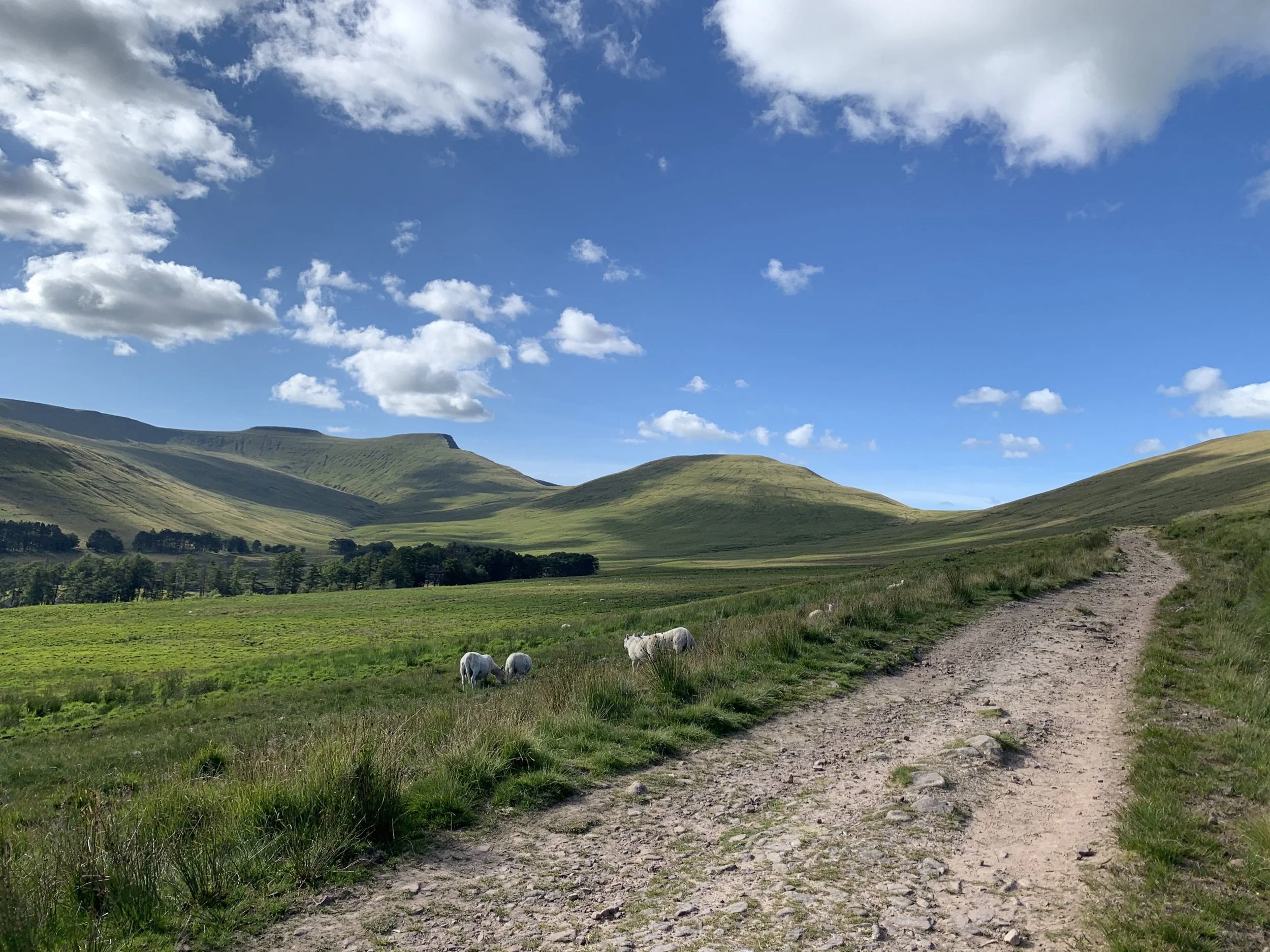 Summer Spiritual Family Retreat