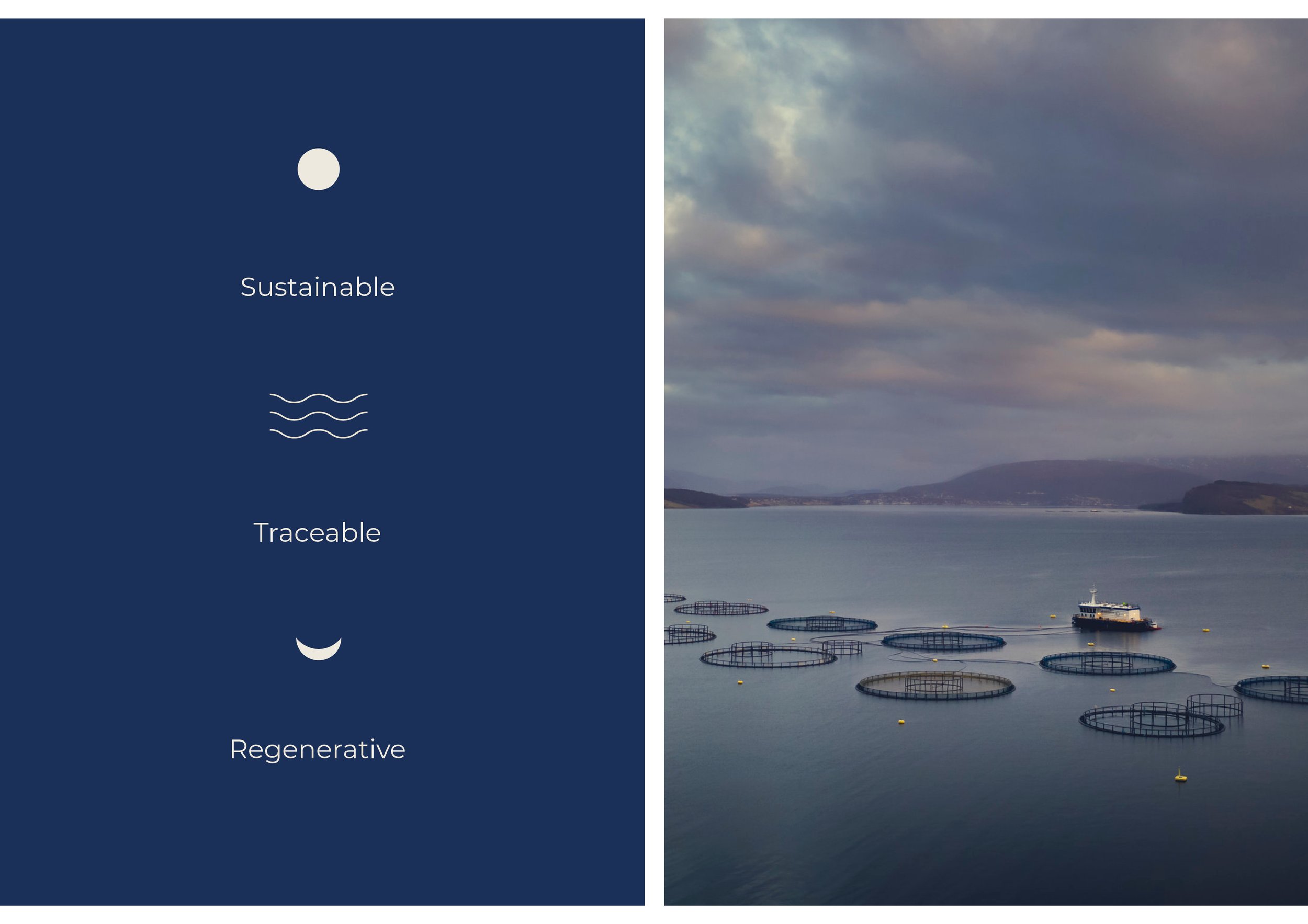 Seatopia_Portfolio_0722_website v5.jpg