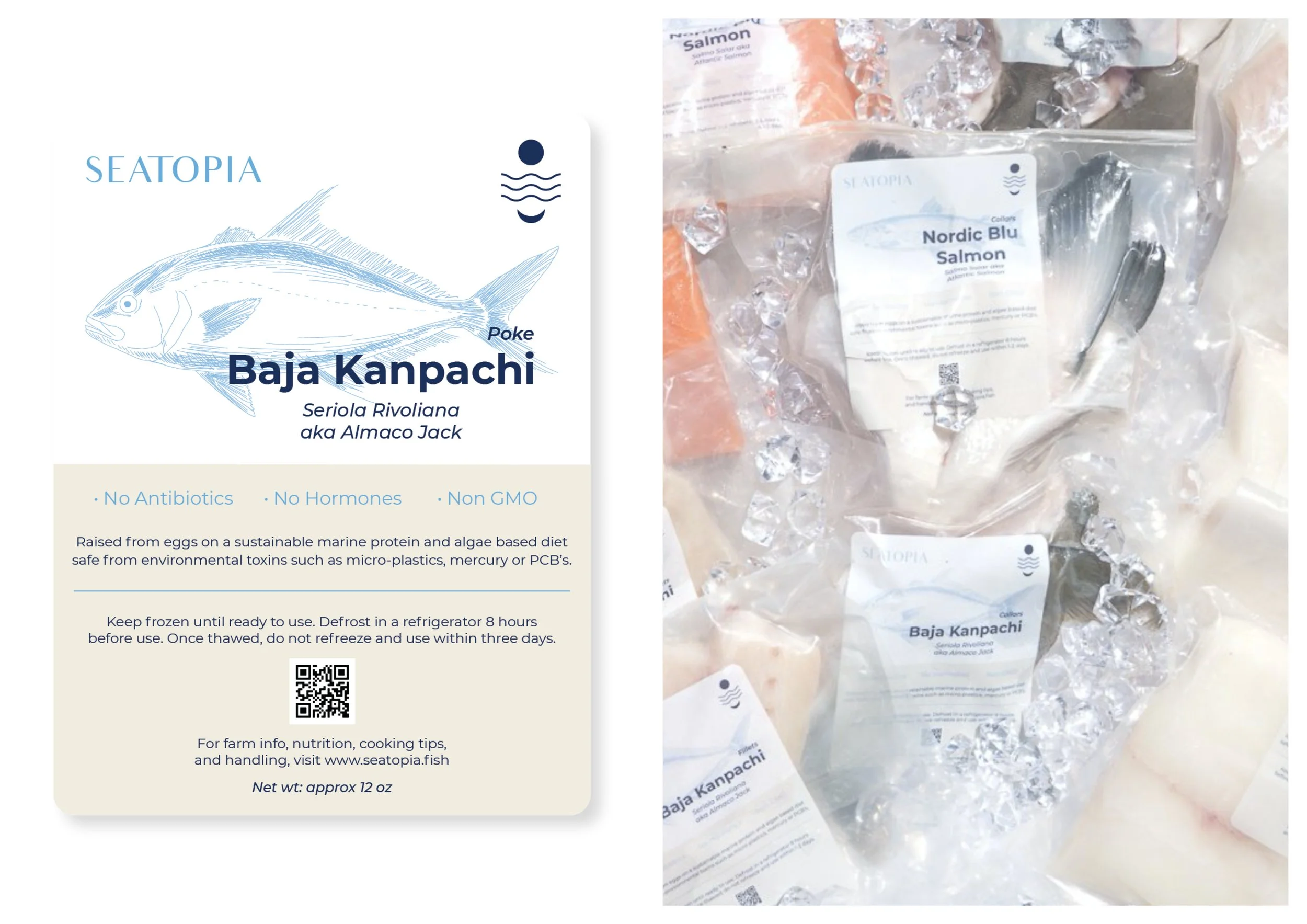 Seatopia_Portfolio_0722_website v15.jpg