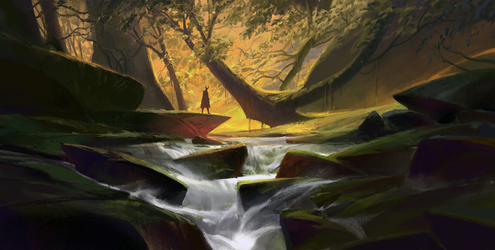 frank-hong-rainforest4.jpg