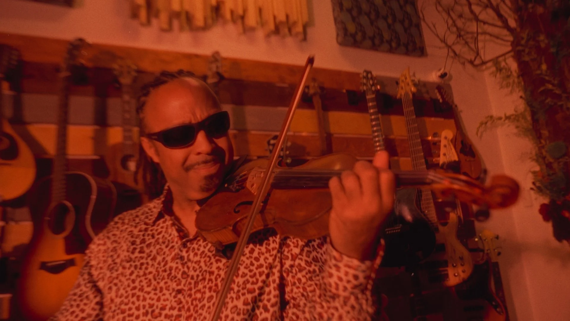 GL-violin-Sly Stone Video.jpg