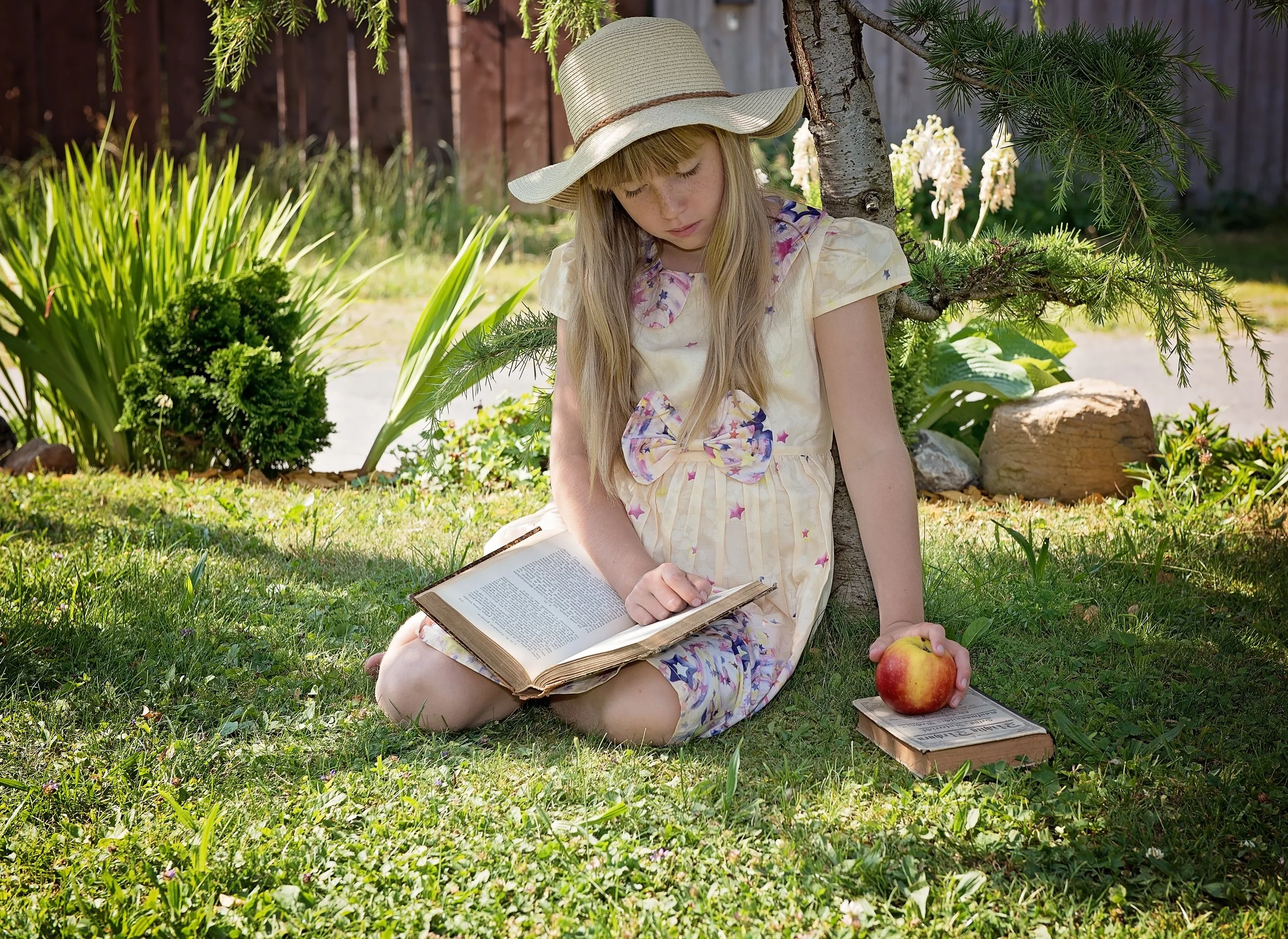 child-girl-read-learn-159543.jpeg
