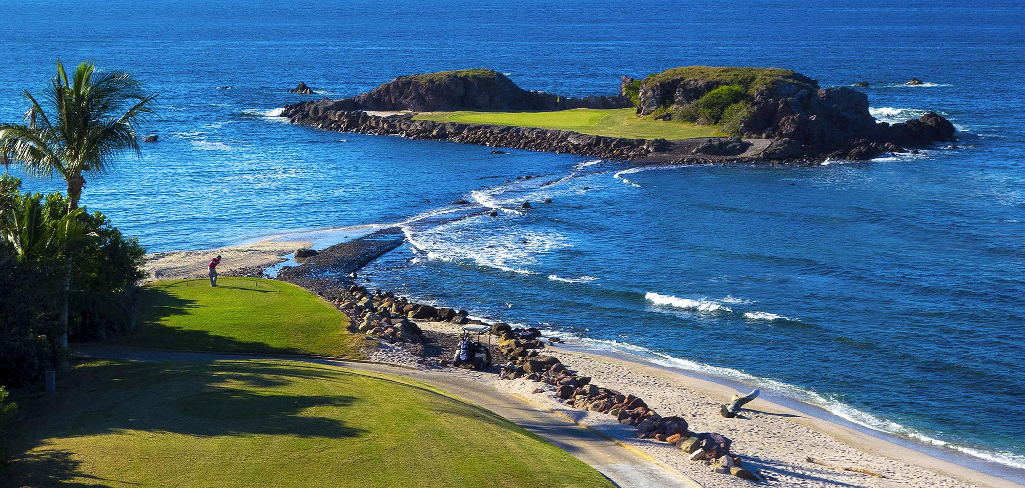 Golf_Tail-of-the-whale_4.jpg