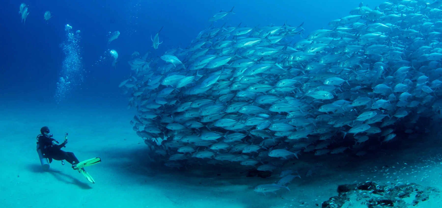 SCUBA-DIVING_V_28.jpg