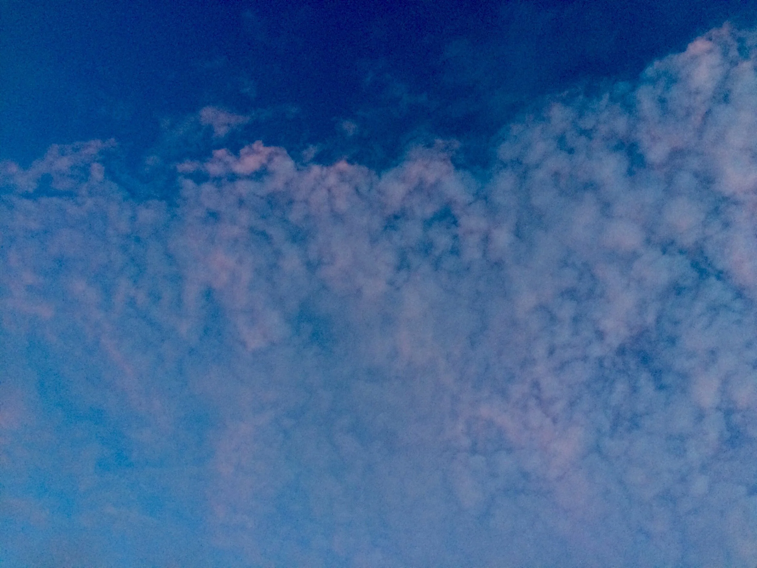 IMG_6358.JPG