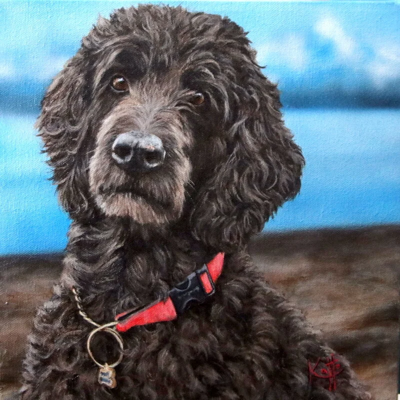 "Magic (The Goldendoodle)"
