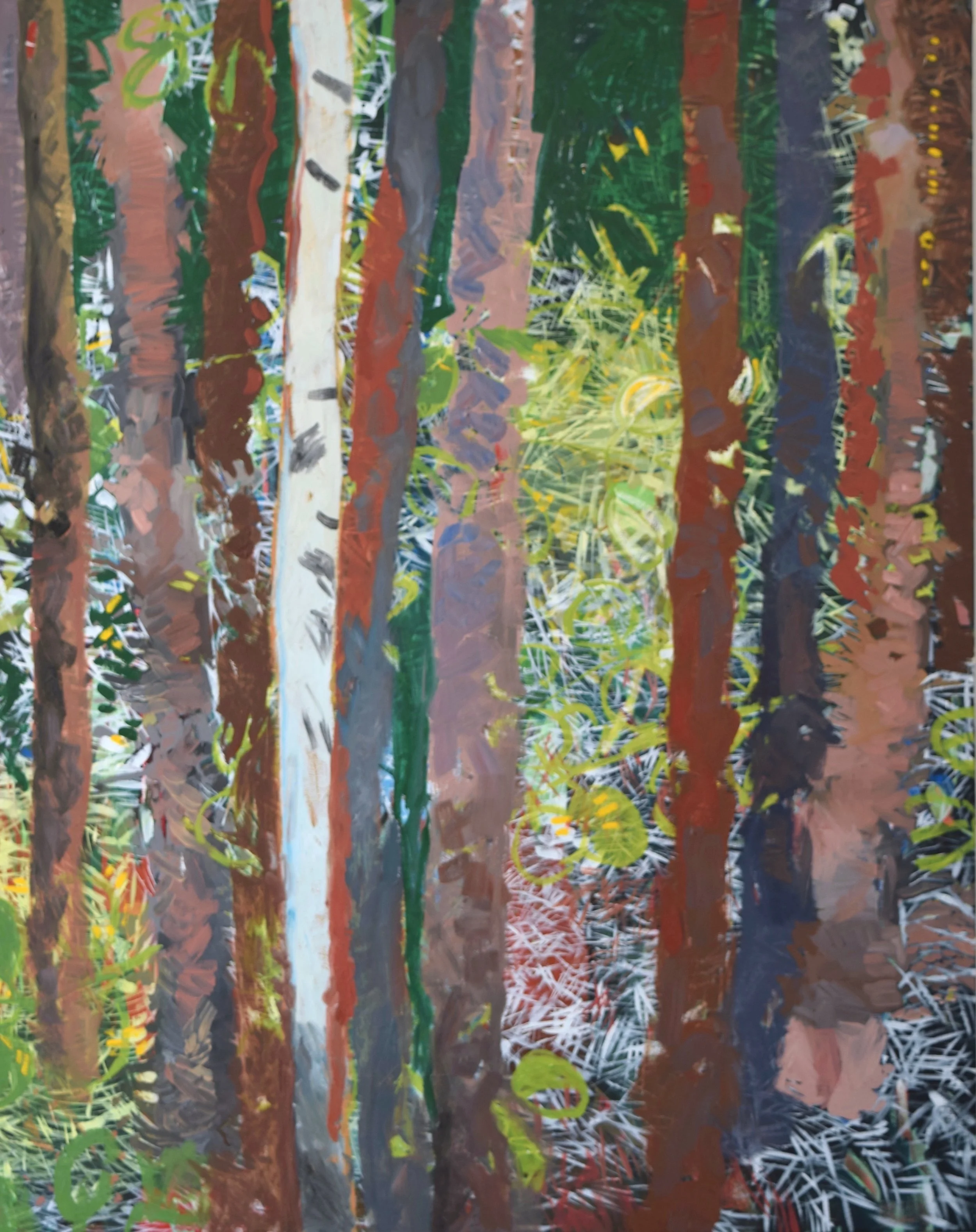 Pine forest.