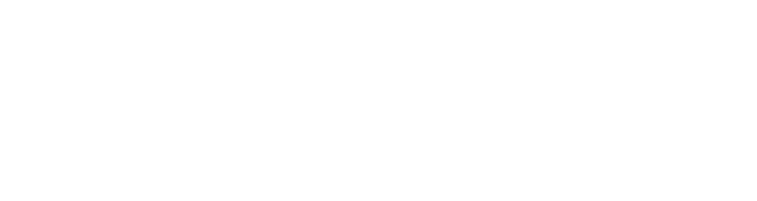 Flash Forward 