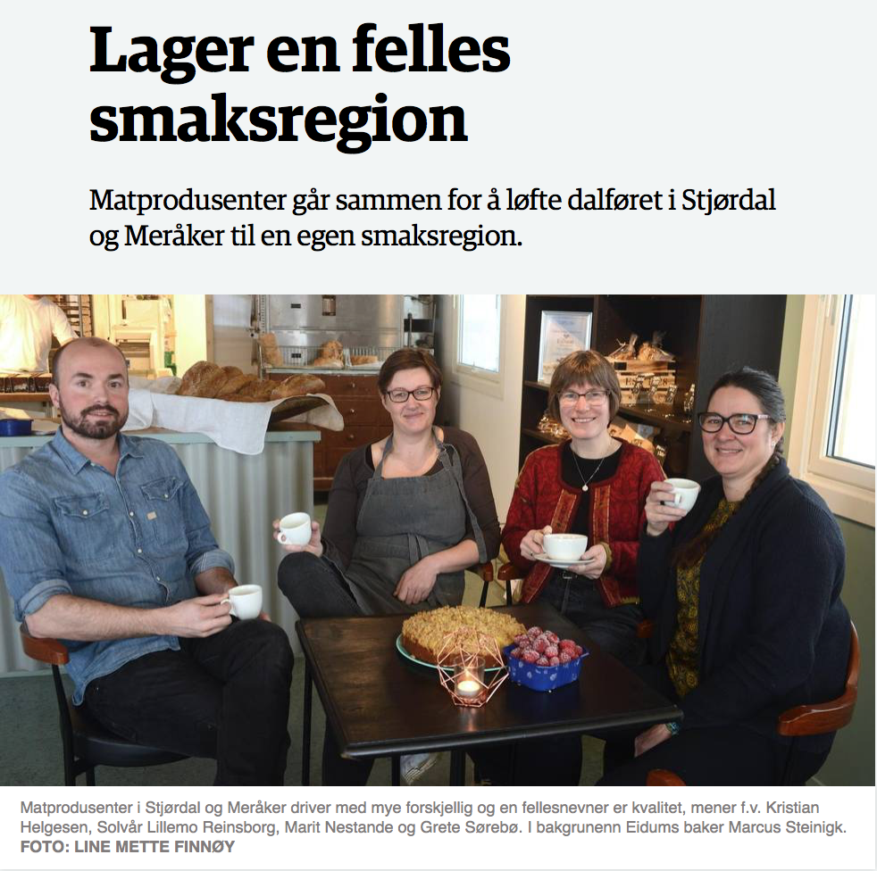 Artikkel i Bladet 28.03.17