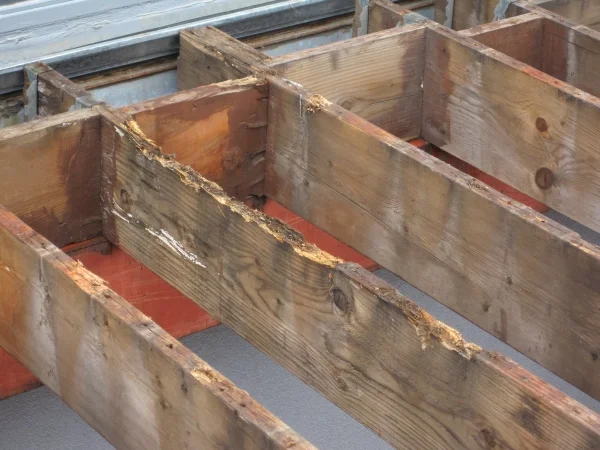 rotted deck 2..jpg