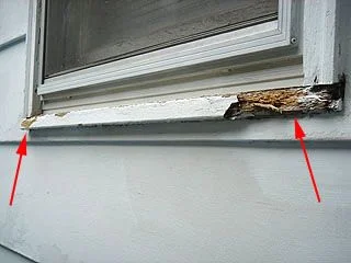 rotted window frame.jpg
