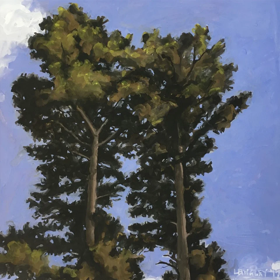 Hydo-Majestic-trees.jpeg
