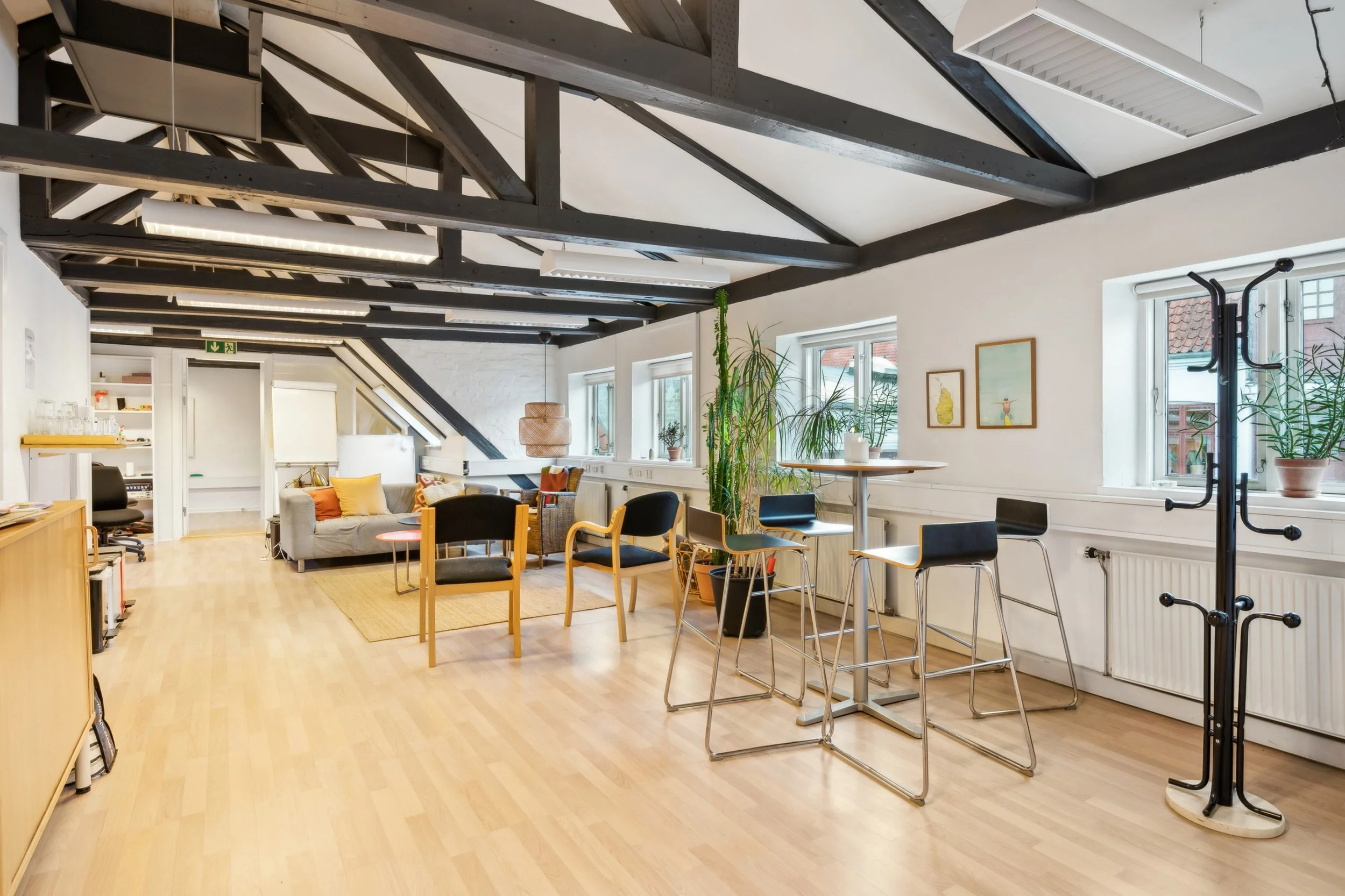 5185888.jpg