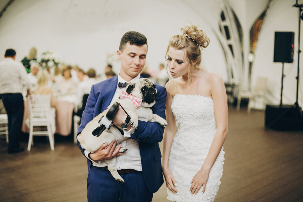 Where To Buy A Cheap And Affordable Wedding Dress On A Tight Budget