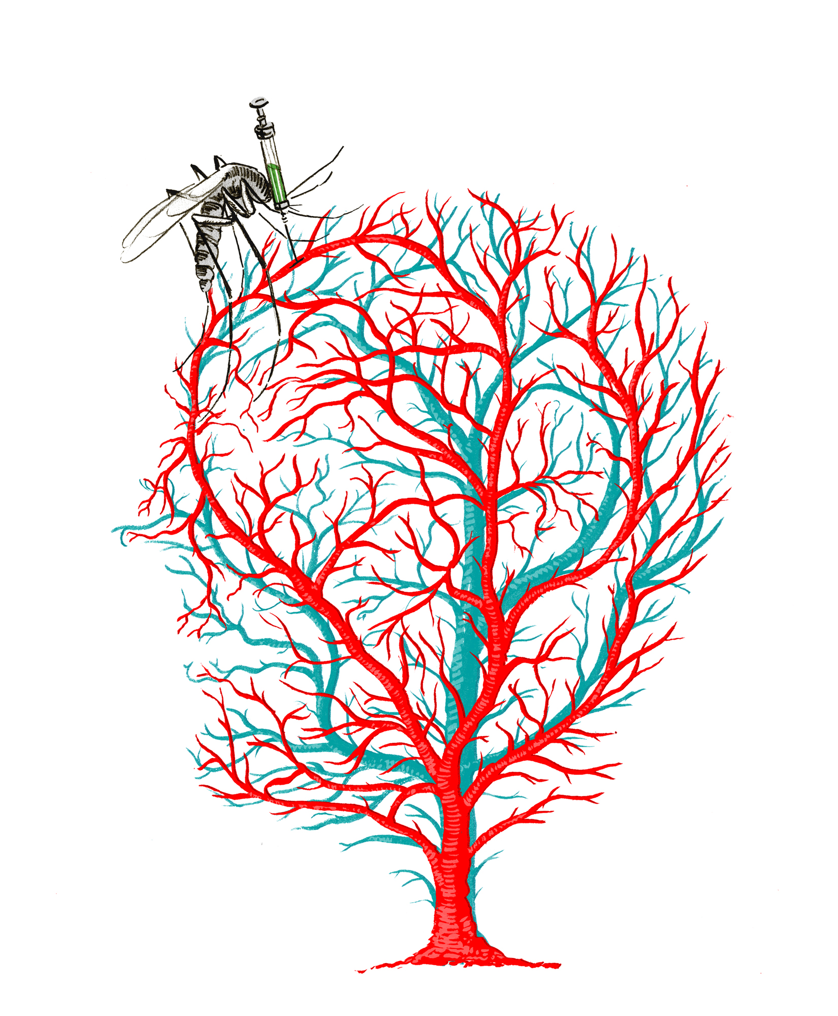 Stanford Medical Journal
