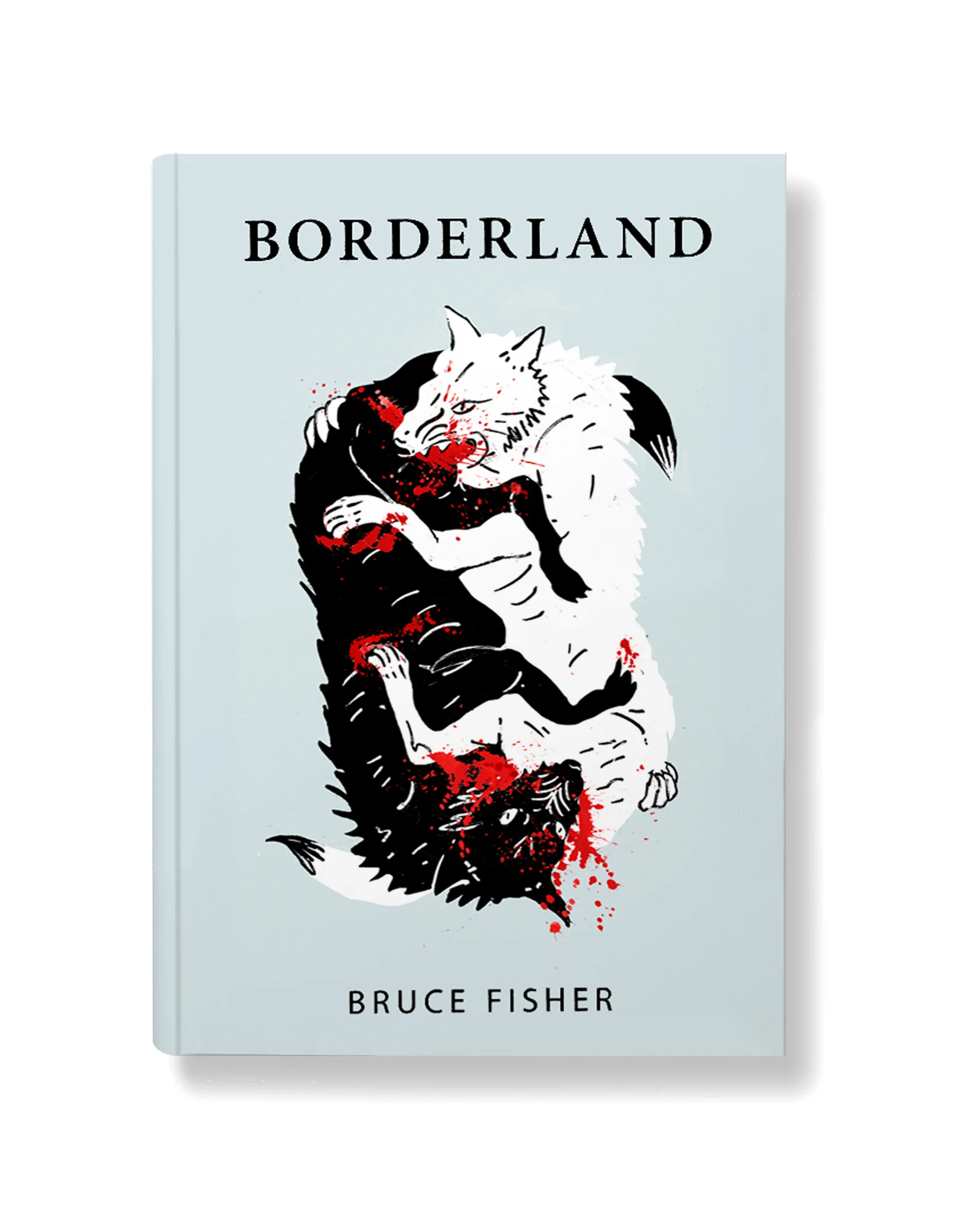 borderland.jpg
