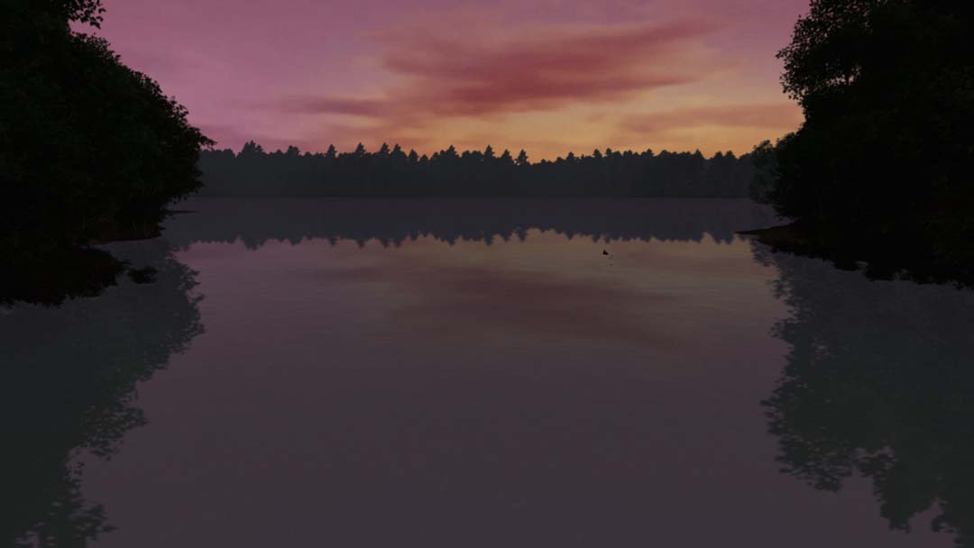 Early Summer Pond at Dusk.jpg