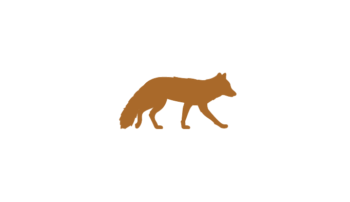 fox-01.png