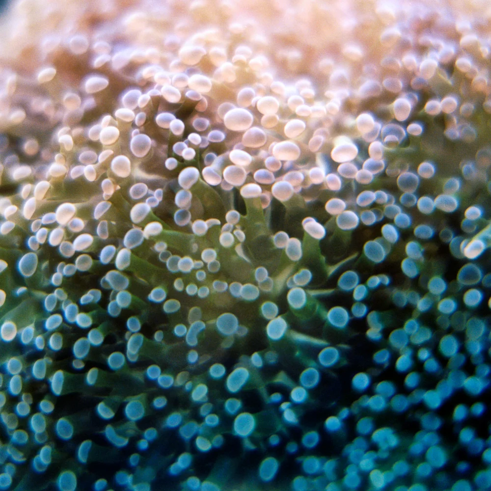 ….. - 2015-06-01 at 18-23-02.jpg