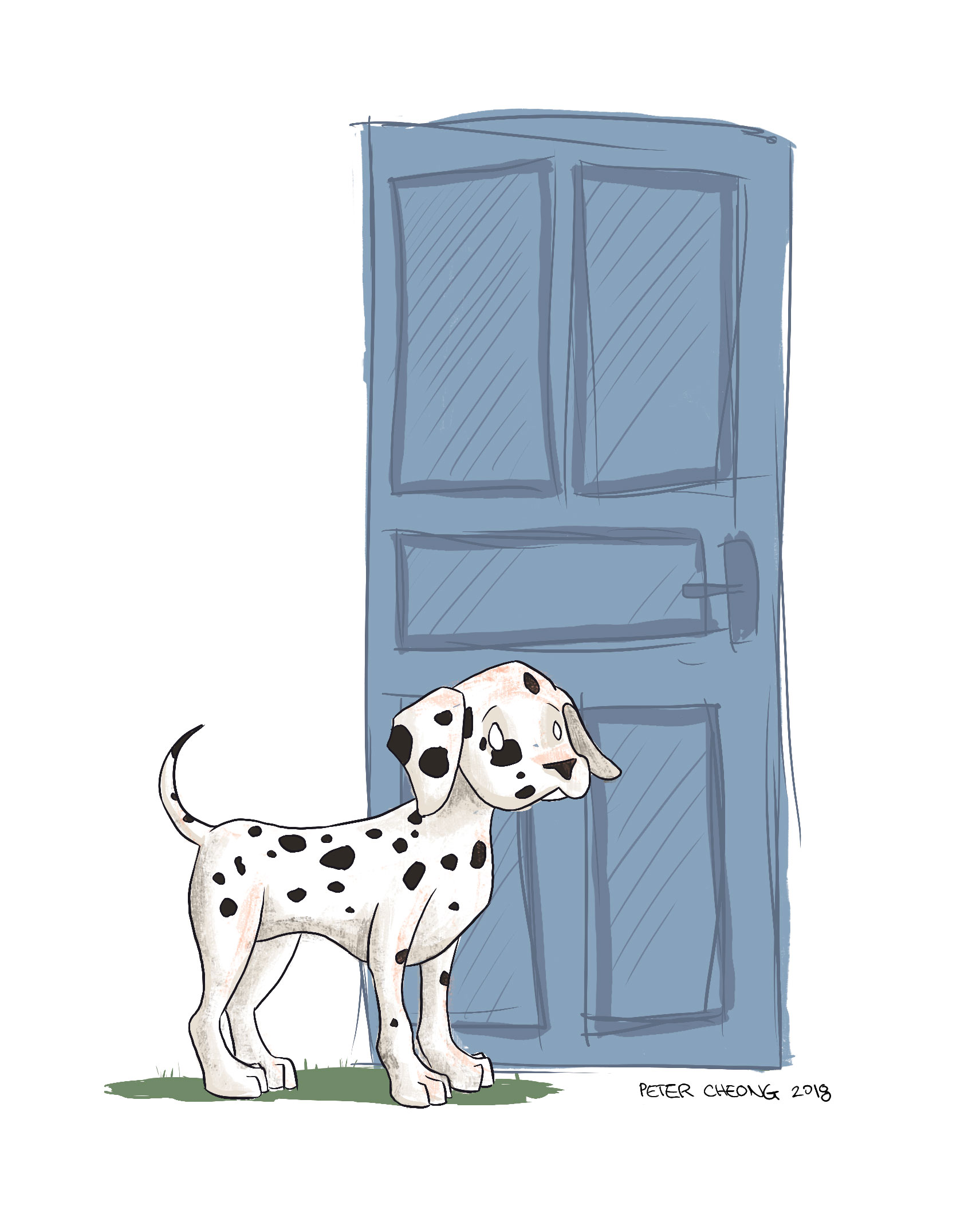 dalmation.jpg