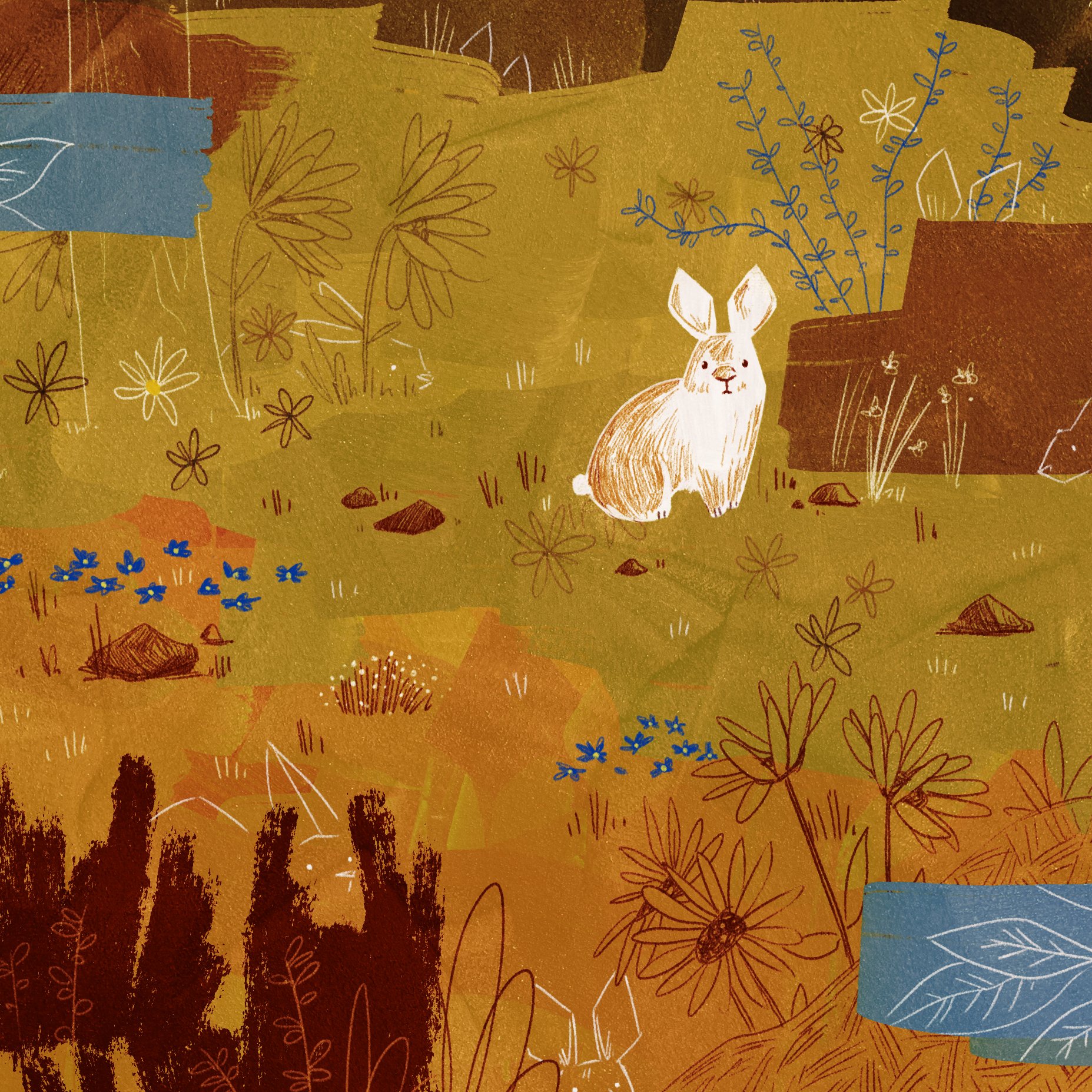 Year of the Rabbit 2
