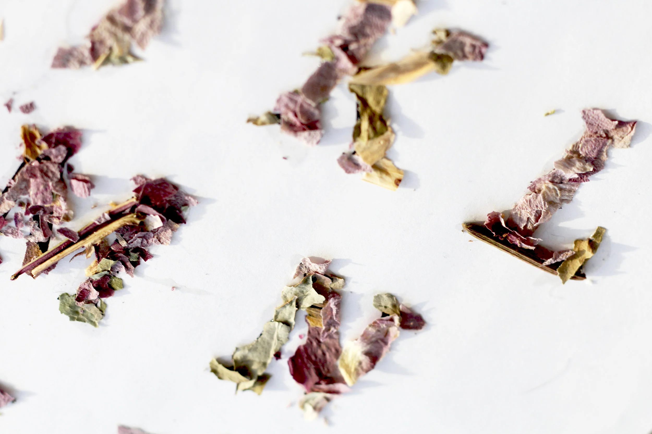 Petals Typeface