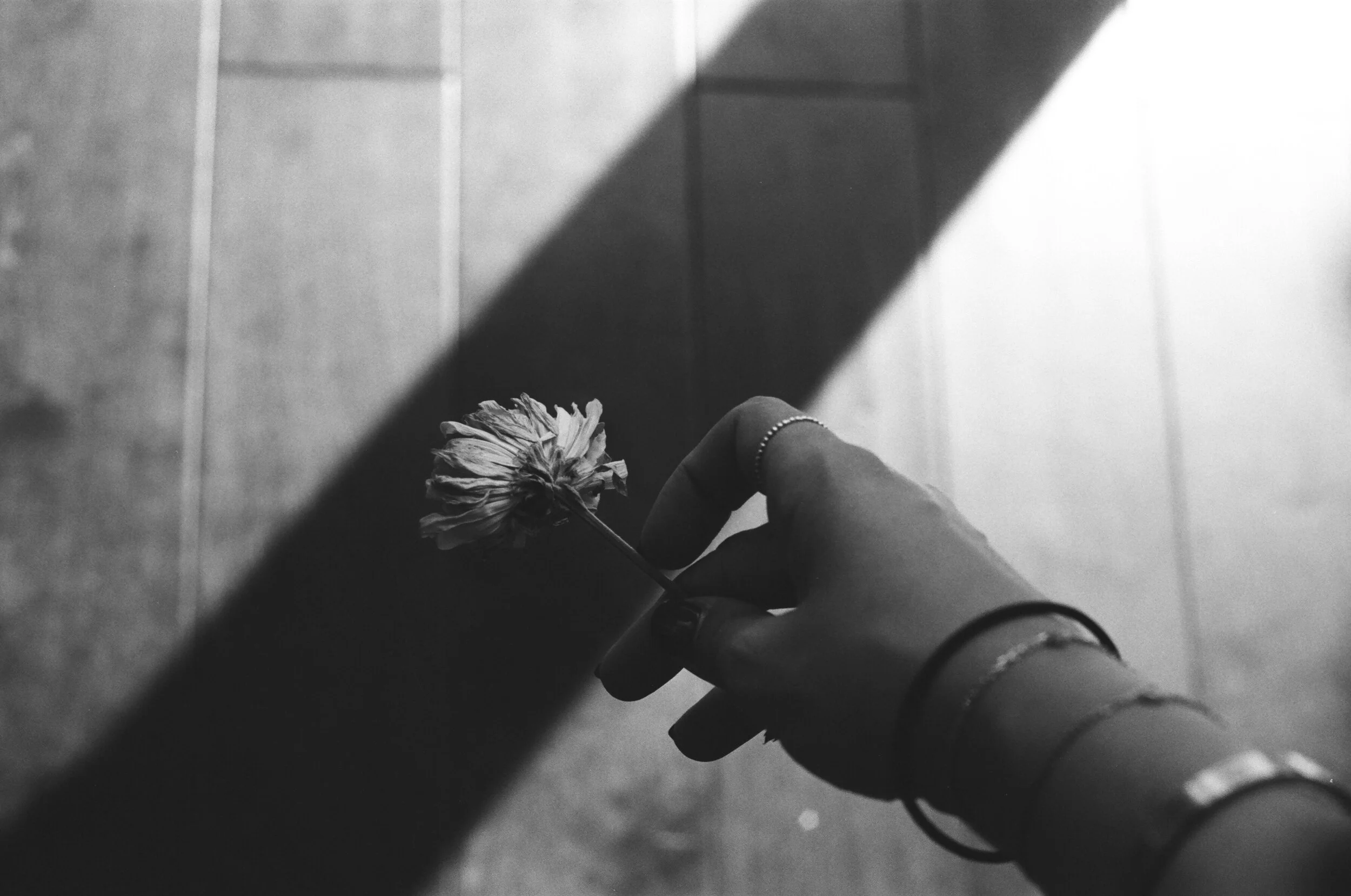 53640010.JPG
