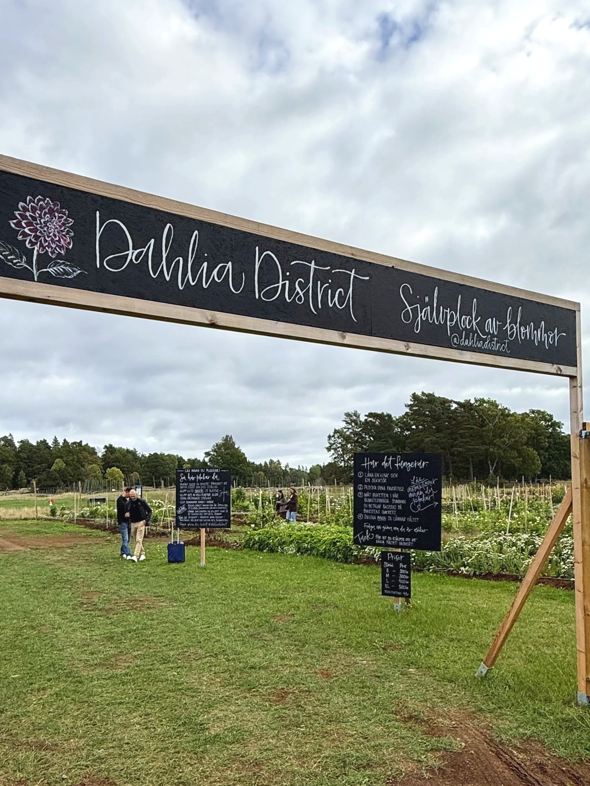Svarta skyltar handmålade med kalligrafi och blommor till Dahlia District. Informationskyltar
