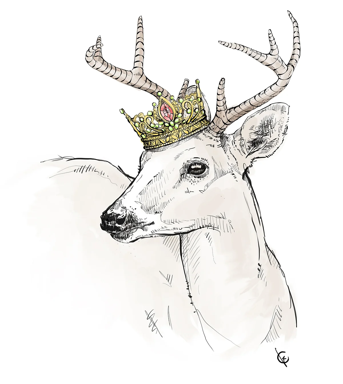 deer_crowned.jpg