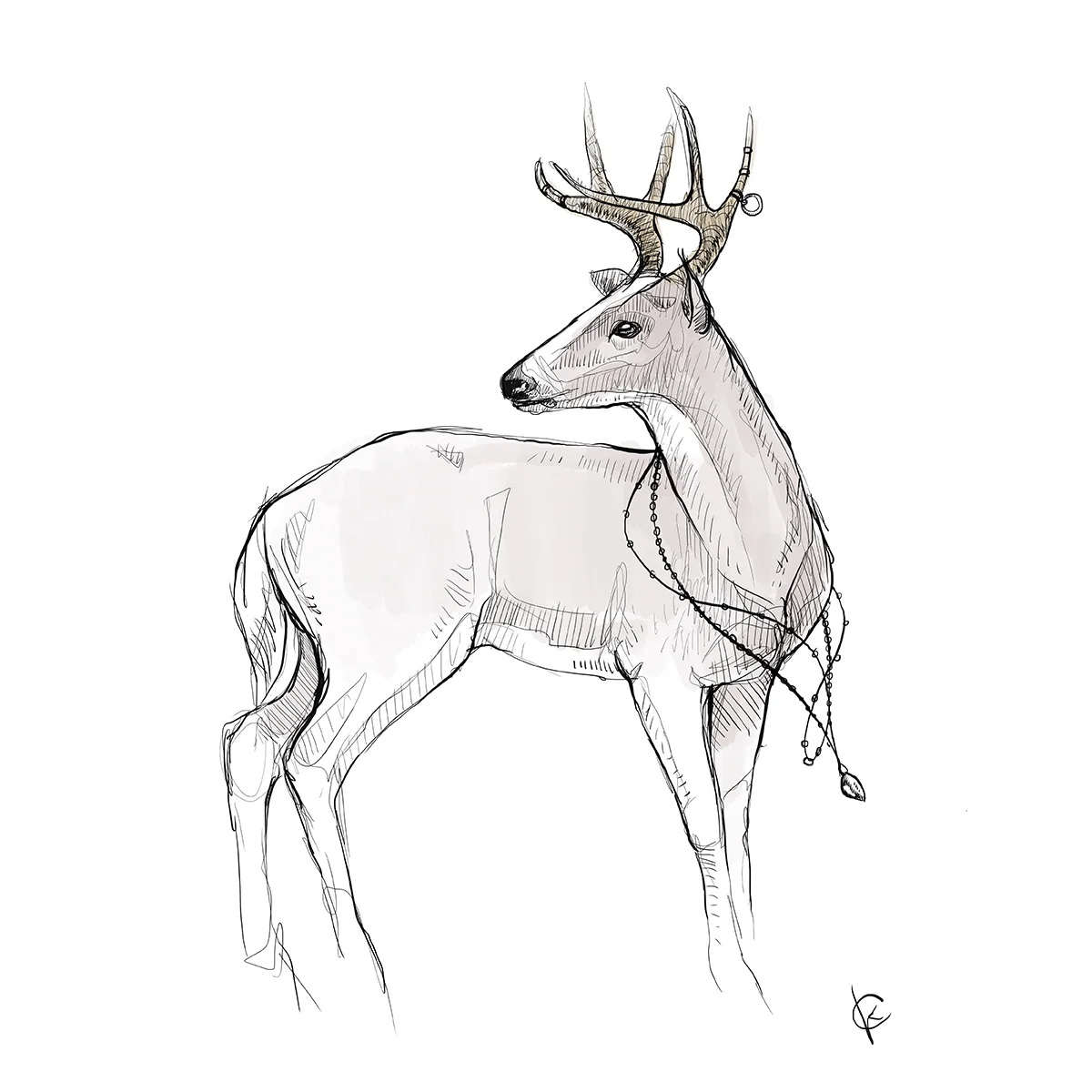 Buckturn.jpg