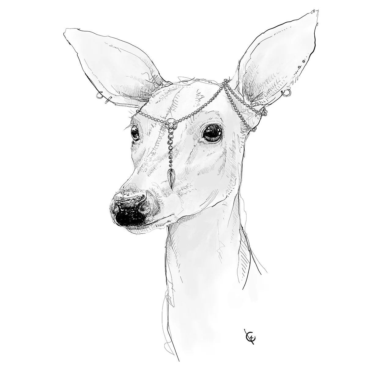 Deer-pearls.jpg