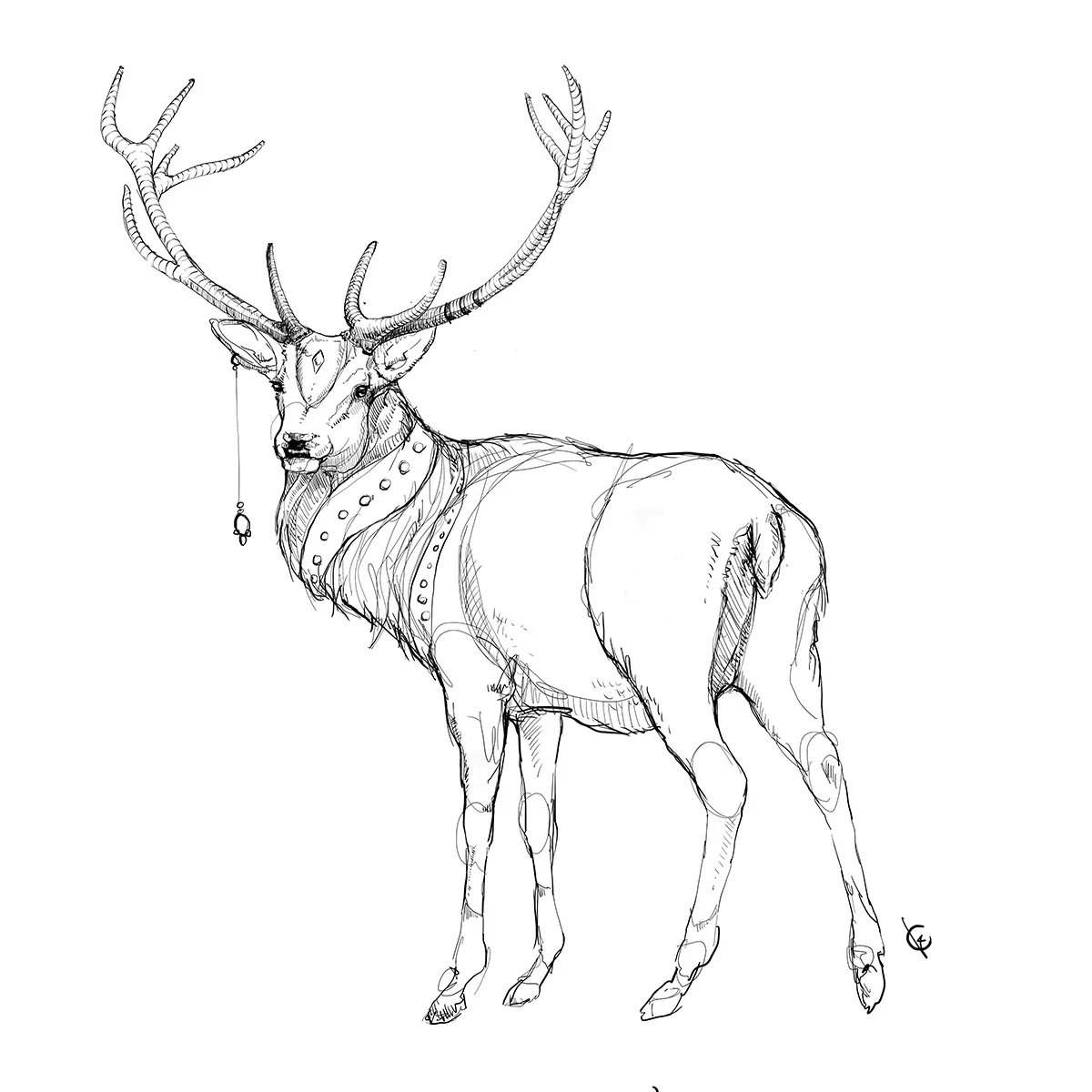 Buckthree.jpg