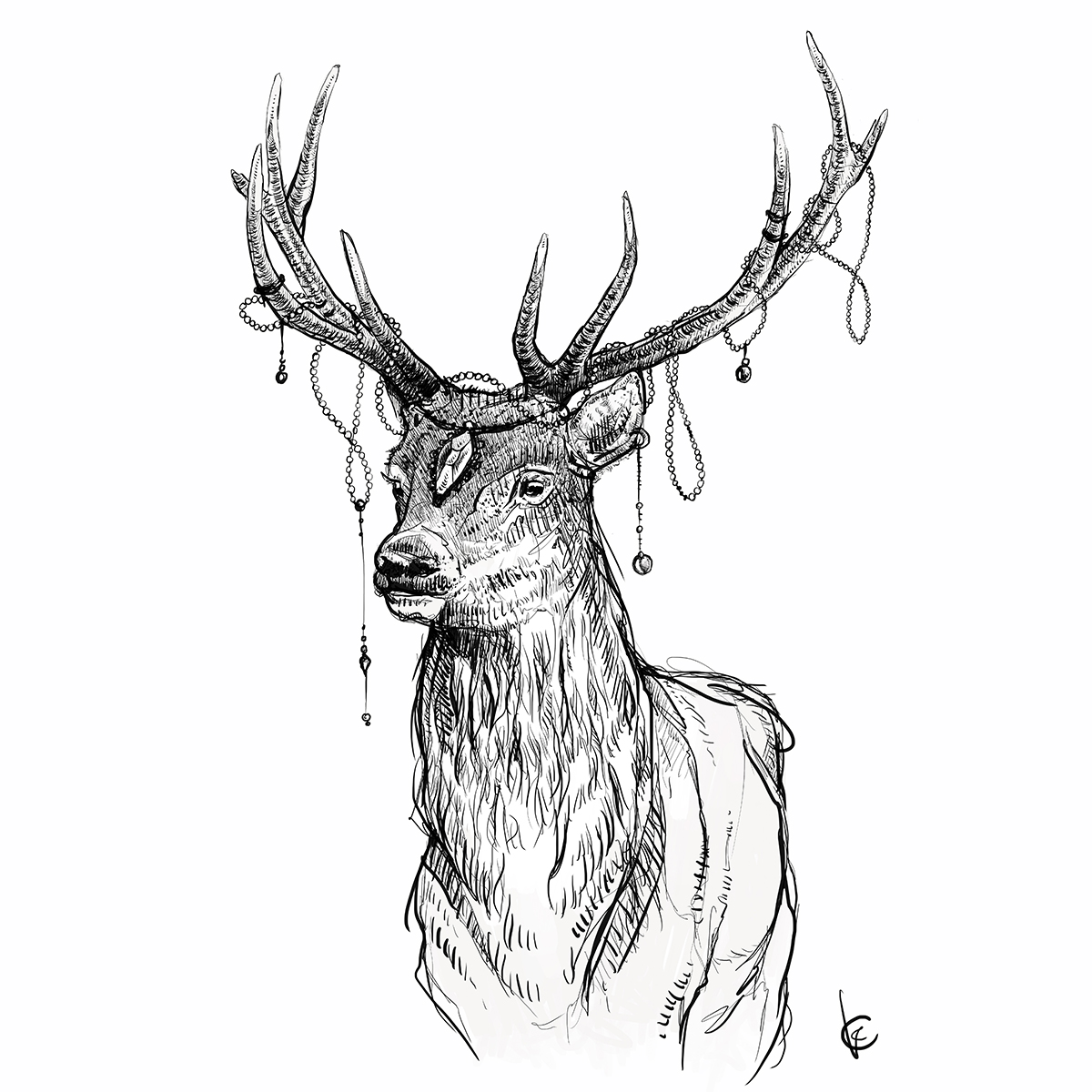 Buckantlerjewels.jpg