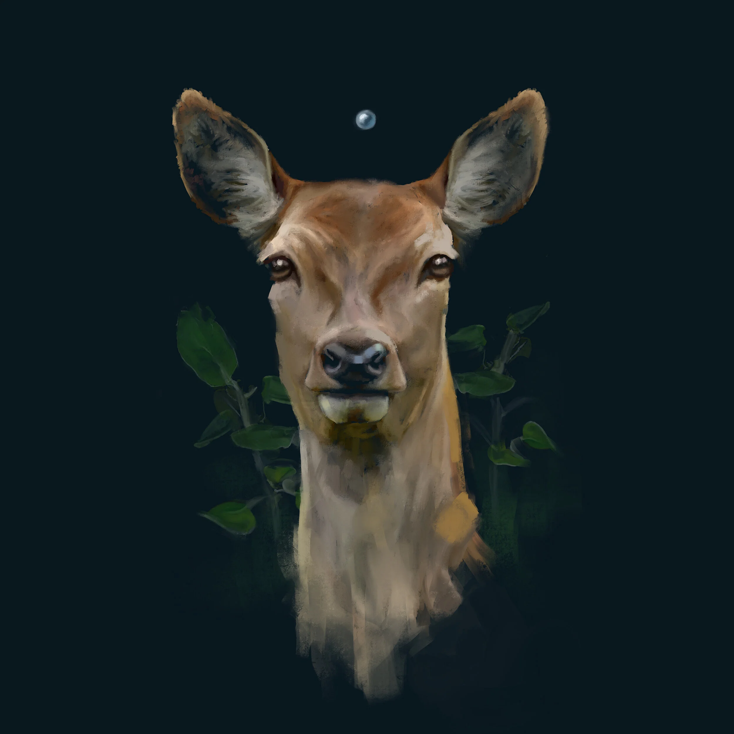 Deermoment.jpg